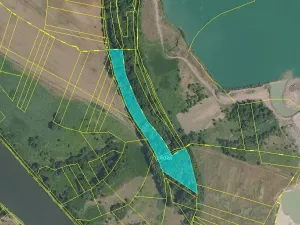 Prodej podílu lesa, Kostelec nad Labem, 1380 m2