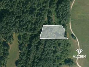 Prodej podílu lesa, Suchdol nad Lužnicí, 1367 m2