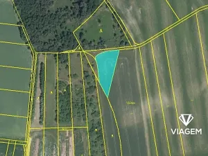 Prodej podílu pole, Veselíčko, 544 m2