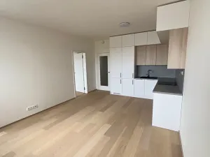Pronájem bytu 2+kk, Praha, V třešňovce, 57 m2