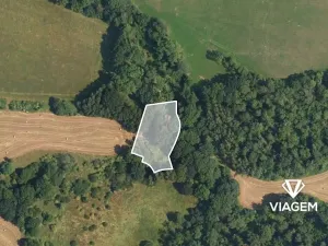 Prodej podílu lesa, Heřmanov, 2538 m2