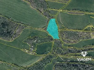 Prodej podílu lesa, Heřmanov, 2538 m2