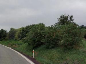 Prodej zahrady, Kojetín, 1455 m2