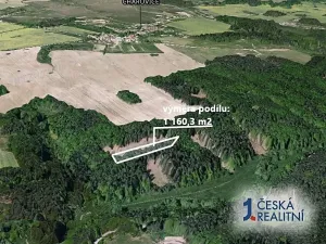 Prodej podílu lesa, Chářovice, 1160 m2