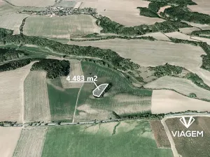 Prodej podílu lesa, Kropáčova Vrutice, 2801 m2