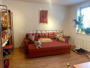 Pronájem bytu 1+kk, Praha - Troja, Vřesová, 34 m2