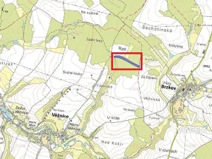Prodej podílu lesa, Věžnice, 805 m2