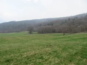 Dražba rodinného domu, Bohuslávky, 10 m2