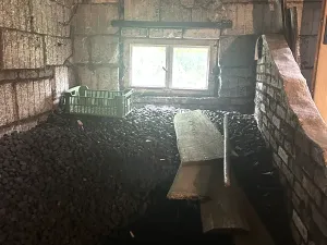 Prodej rodinného domu, Obora, 80 m2