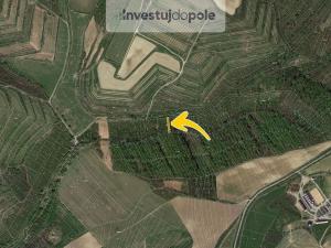 Prodej pole, Nikolčice, 15471 m2