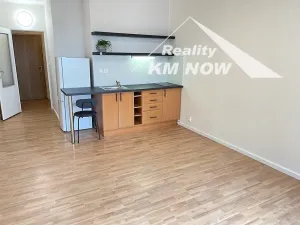 Pronájem bytu 1+kk, Kroměříž, 17. listopadu, 33 m2