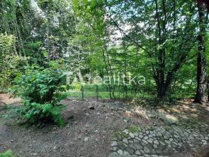 Prodej zahrady, Bystřice, 1254 m2