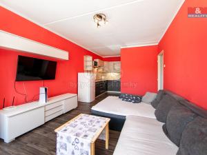 Prodej bytu 2+kk, Most, Františka Malíka, 40 m2
