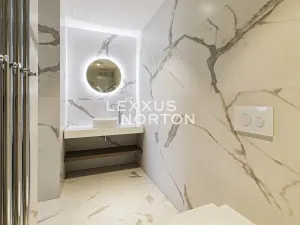 Pronájem bytu 2+kk, Praha - Vinohrady, Mánesova, 75 m2
