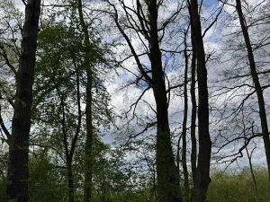 Prodej pozemku, Třeboň, 14477 m2