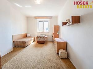 Prodej bytu 2+1, Přerov, tř. Gen. Janouška, 62 m2