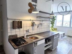 Pronájem bytu 2+kk, České Budějovice, Kubatova, 50 m2