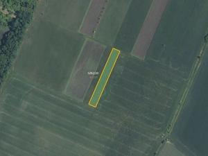 Prodej pole, Novosedly, 9816 m2