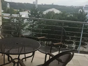 Pronájem bytu 4+1, Brno, Vinařská, 125 m2