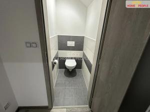 Pronájem bytu 2+kk, Město Touškov, Čemínská, 45 m2