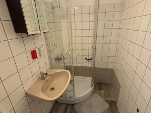 Pronájem bytu 1+1, Plzeň, 39 m2
