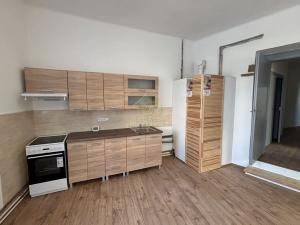 Pronájem bytu 2+kk, Kralovice, 69 m2