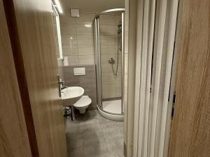 Pronájem bytu 1+kk, Lošany, 25 m2