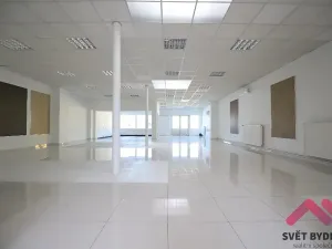 Pronájem obchodního prostoru, Praha - Libeň, Voctářova, 224 m2