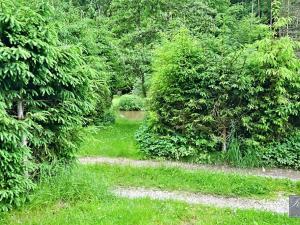Prodej chaty, Plasy, 65 m2