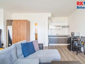 Pronájem bytu 1+kk, Český Brod, Palackého, 30 m2