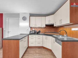 Prodej zemědělské usedlosti, Syřenov - Újezdec, 280 m2