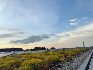 Prodej rodinného domu, Divišov, Dalovská, 300 m2