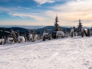 Prodej bytu 4+kk, Špindlerův Mlýn, Vodárenská, 108 m2