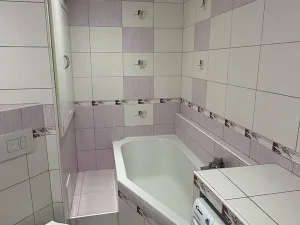 Pronájem bytu 2+1, Ostrava, Opavská, 44 m2