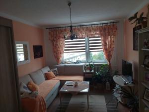 Prodej bytu 3+1, Třebíč, Energetiků, 70 m2