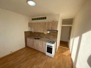Pronájem bytu 1+1, Žatec, Lípová, 39 m2