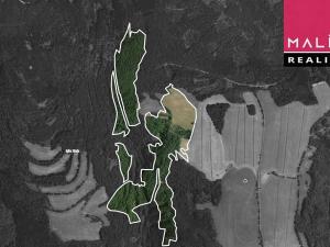 Prodej louky, Stráž nad Ohří, 308543 m2