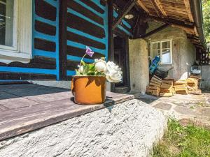 Prodej chalupy, Benešov u Semil, 120 m2