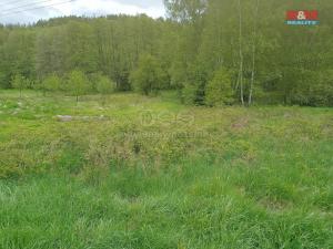 Prodej louky, Kořenov - Rejdice, 6962 m2