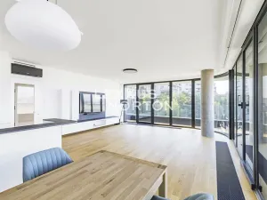 Pronájem bytu 3+kk, Praha - Vinohrady, Dudova, 122 m2