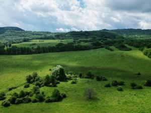 Prodej louky, Kadaň, 1427402 m2
