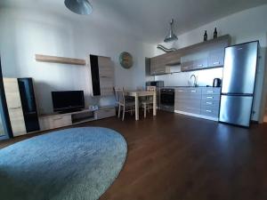Pronájem bytu 1+kk, Praha - Žižkov, Olšanská, 37 m2
