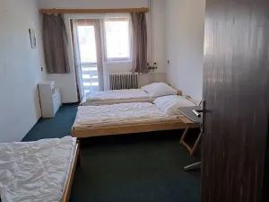 Prodej apartmánu, Frymburk, 750 m2