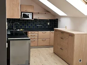 Pronájem obchodního prostoru, Tábor, U Jednoty, 285 m2