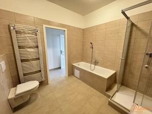 Pronájem bytu 3+kk, Praha - Staré Město, Národní, 68 m2