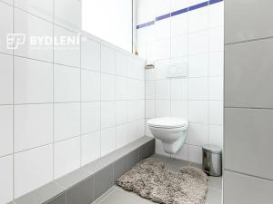 Prodej bytu 1+kk, Praha - Střížkov, Děčínská, 23 m2