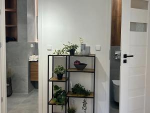 Prodej bytu 3+1, Ostrava, Francouzská, 65 m2