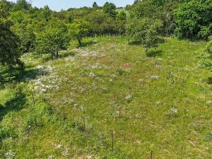 Prodej zahrady, Praha - Dolní Chabry, 10599 m2