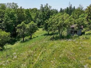 Prodej zahrady, Praha - Dolní Chabry, 10599 m2