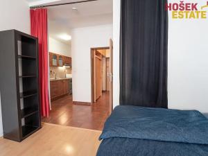 Prodej bytu 1+kk, Brno, Spolková, 39 m2